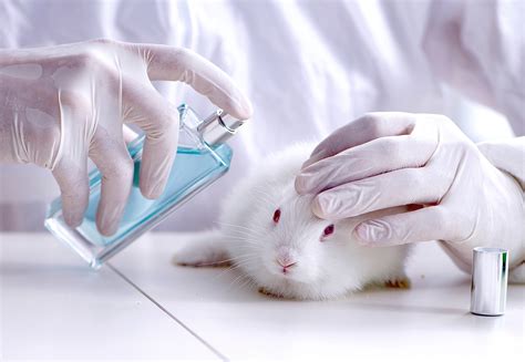 gucci beauty animal testing|Gucci testing on animals.